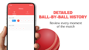 Box Cricket - Scorer Screenshot 3