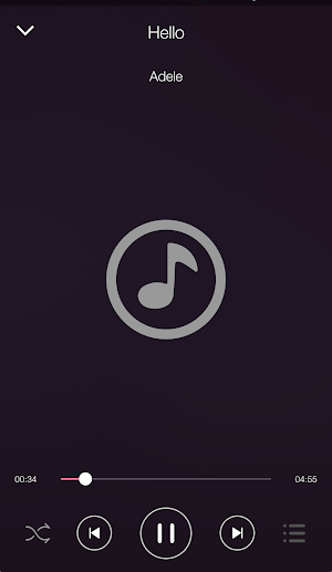 Music Player Screenshot 0
