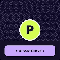 Net Catcher Boom