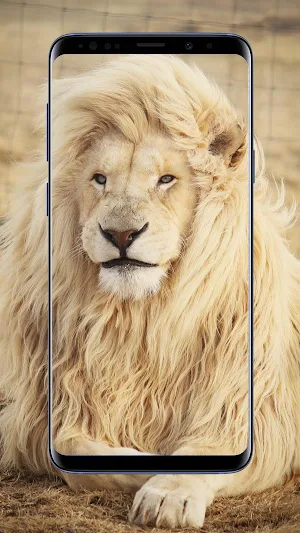 Lion Wallpapers Screenshot 0