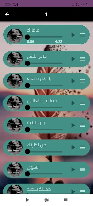اروع اغاني جميلة سعد بدون نت Screenshot 3