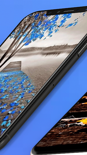 Autumn Wallpapers Backgrounds Screenshot 1