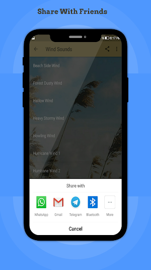 Wind Sounds Screenshot 1
