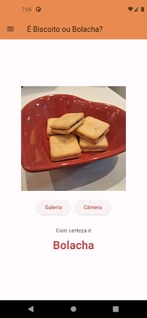 Biscoito ou Bolacha? Screenshot 0