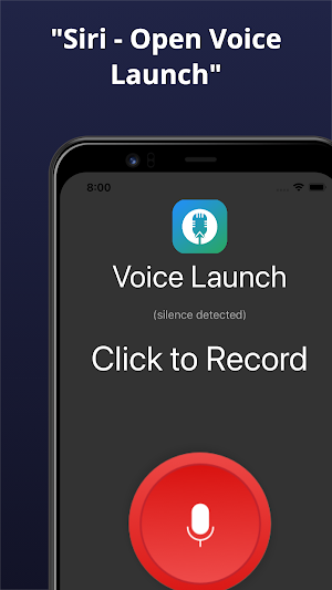 Voice Launch Screenshot 0