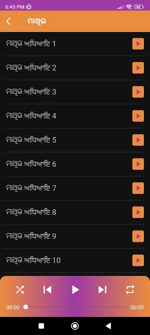 Punjabi Bible (ERV) Screenshot 2