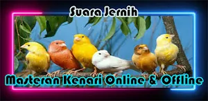 Masteran Ampuh Kenari Full Mp3 Screenshot 1