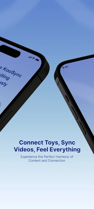 KooSync Screenshot 1