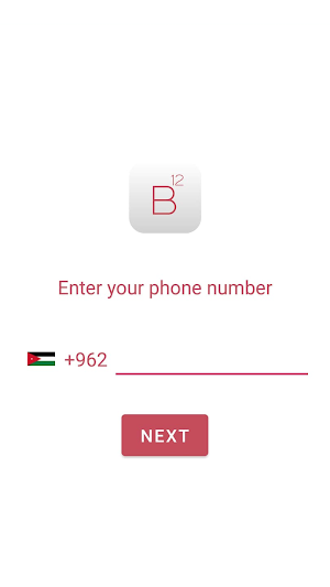 B12 App Screenshot 0