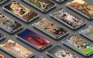 🐯 Leopard Wallpaper 🐆 Screenshot 0