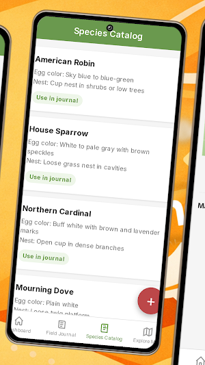 Congobet Screenshot 2