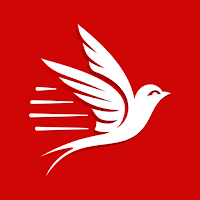 Türkiye Haberleri