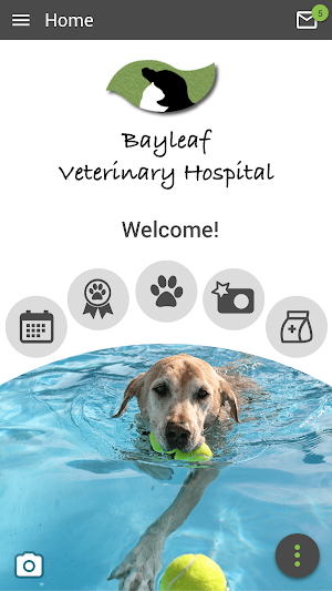 Bayleaf Vet Screenshot 0