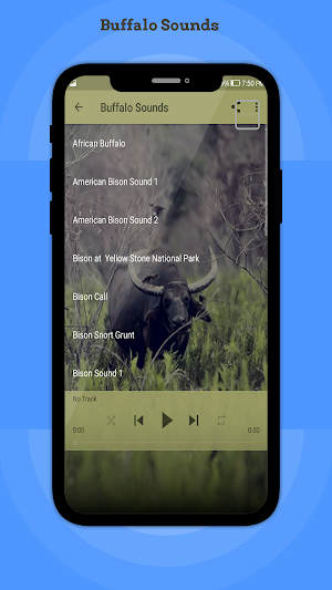 Buffalo Sounds Screenshot 1