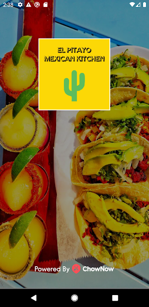 El Pitayo Mexican Kitchen Screenshot 0