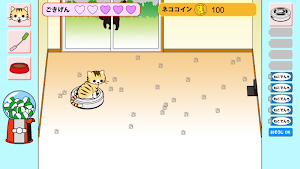 cat and clean Lobo Screenshot 0