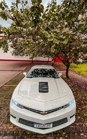 Camaros Wallpapers - Papel de Parede Camaro Screenshot 3