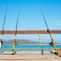 Fishing Wallpaper