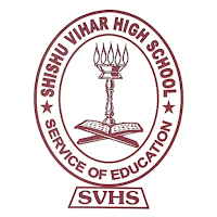 SVHS connect
