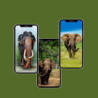 Wallpapers Gajah Hutan