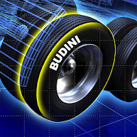 Budini Fleet