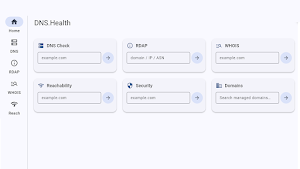 DNS.Health Screenshot 2