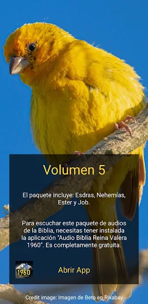 Pack5 Lectura Bíblica Screenshot 1