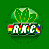 Radio Kawsachun Coca En Vivo