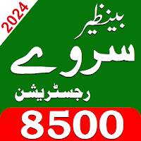Benazir Support 2024 Survey