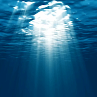 Real Underwater Live Wallpaper