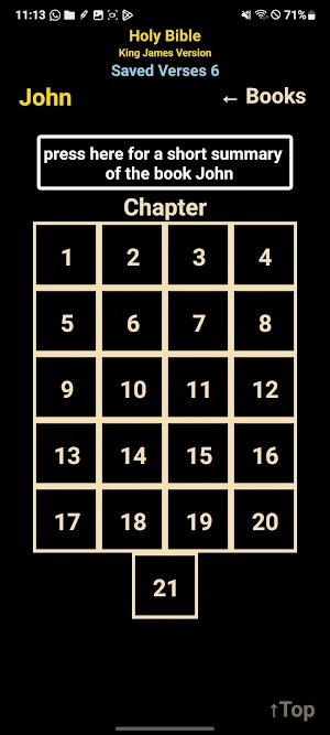AI Holy Bible KJV Screenshot 1