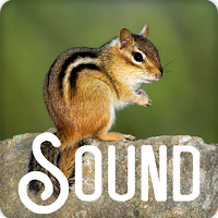 Chipmunk Soundboard Ringtone