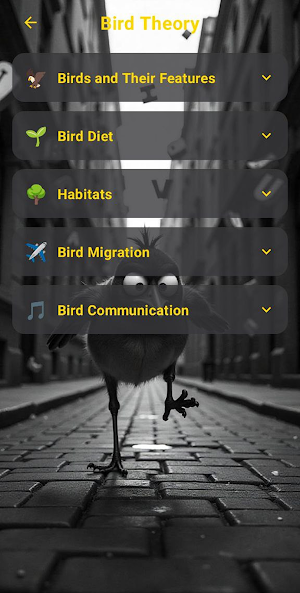 Chicken Road Screenshot 2