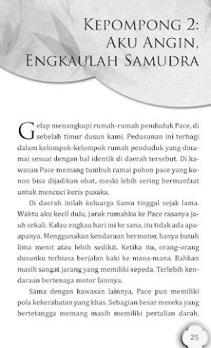 Aku Angin Engkaulah Samudra Screenshot 3