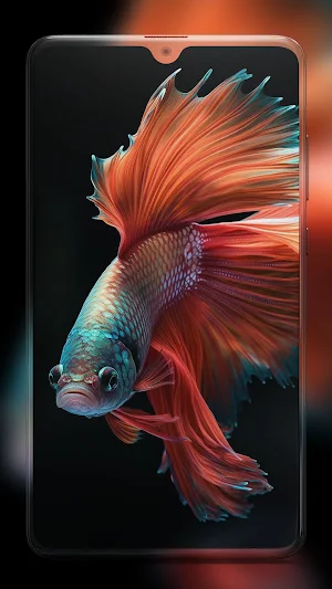 Betta Fish Wallpapers HD Screenshot 0
