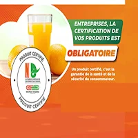 PEC CI codinorm