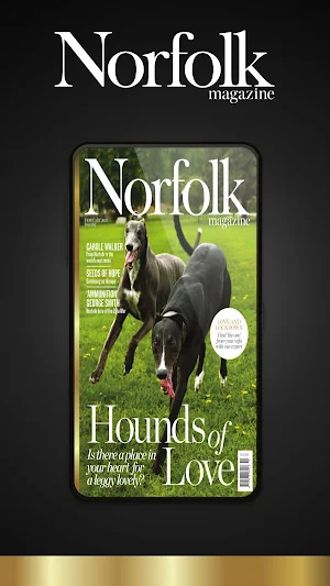 Norfolk Magazine Screenshot 0
