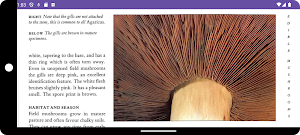 Mushroom Guide and Identifier screenshot 7