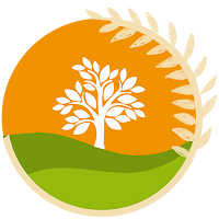 Rathi Farms - Fresh Vegetables
