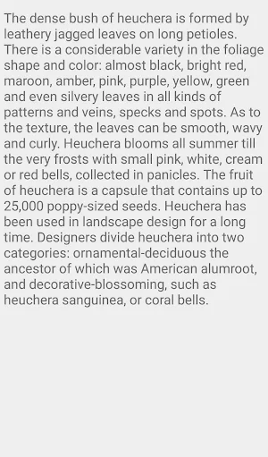 Heuchera Flower Screenshot 2