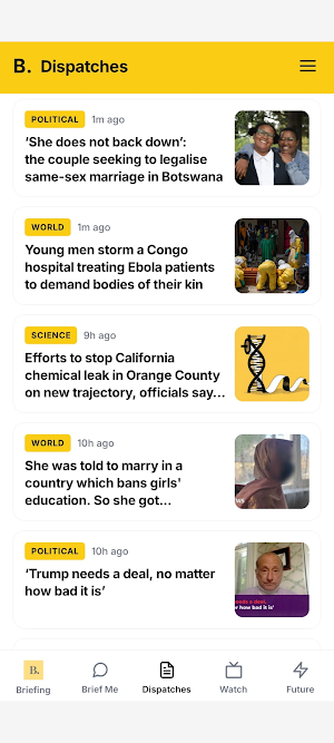 The Briefing : Curated News Screenshot 2