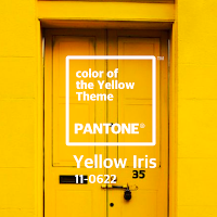 Pantone Yellow HD Wallpaper