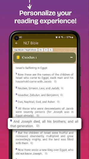 NLT Bible Offline in English Screenshot 3