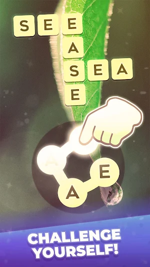 Word Crossed - Offline Games Screenshot 0
