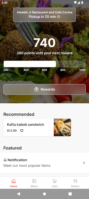 Aladdin Jr. Restaurant Screenshot 0