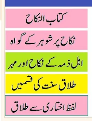 Ain ul hidaya jild 4 Hidaya urdu sharah volume 2 Screenshot 0