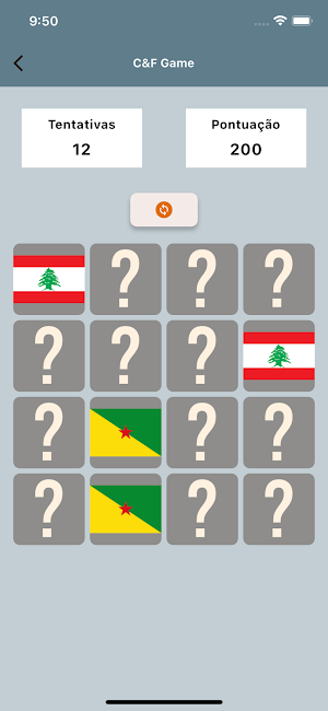 Countries And Flags Screenshot 1