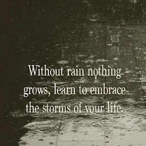 Wisdom Quotes Wise Words Screenshot 2