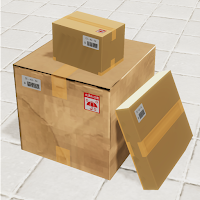 Want to Deliver the Luggage
