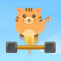 Trampoline Cats